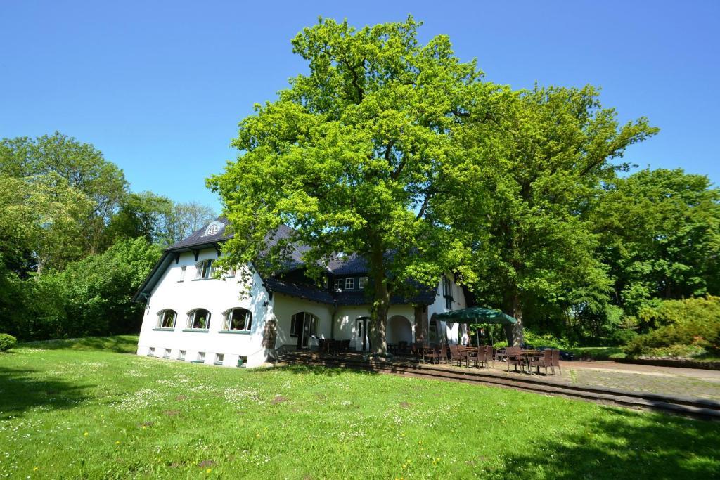 Hotel Am Rugard Bergen Auf Rugen Ngoại thất bức ảnh